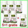 Detoxiplant Activ cu Aloe Ferox 40 capsule PROMOTIE 5+1 gratis - Herbagetica