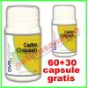 Carbo Chitosan PROMOTIE 60+30 capsule GRATIS - DVR Pharm