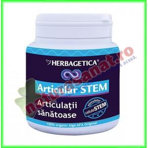 Articular Stem 120 capsule - Herbagetica