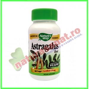 Astragalus 100 capsule - Nature's Way - Secom