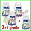 Promotie passiflora extract 40 capsule 3+1 gratis - herbagetica