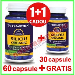 Siliciu organic PROMOTIE 60+30 capsule GRATIS - Herbagetica