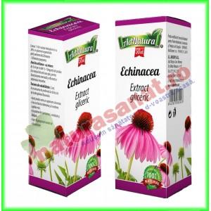Echinacea Extract Gliceric 50 ml - Ad Natura - Ad Serv