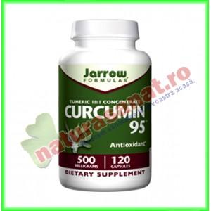 Curcumin 95 60 capsule - Jarrow Formulas (Secom)