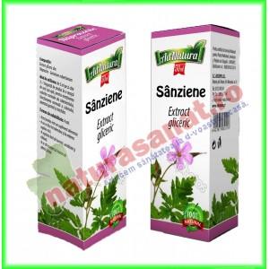 Sanziene Extract Gliceric 50 ml - Ad Natura - Ad Serv