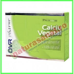 Calciu Vegetal 20 capsule blisterizate - DVR Pharm