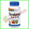 Circulation Blend 100 capsule - Solaray