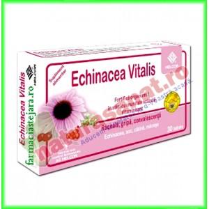 Echinacea Vitalis 30 tablete - Helcor