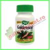 Goldenseal 50 capsule - nature's way - secom