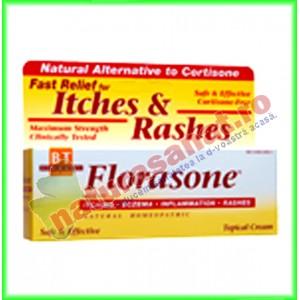 Florasone Eczema Cream 28,35g - Boericke & Tafel