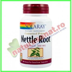 Nettle Root ( Radacina de Urzica cu extract ) 60 capsule - Solaray - Secom