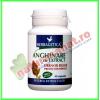 Anghinare cu Extract 40 capsule - Herbagetica