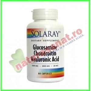 Glucosamine Chondroitin Hyaluronic Acid 60 capsule - Solaray (Secom)