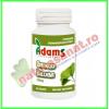 Ginkgo biloba 240mg 60 tablete - adams vision