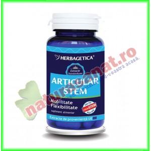 Articular stem 60 capsule - Herbagetica