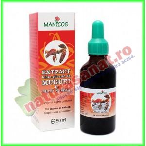 Extract hidro-gliceric de muguri de plop negru 50 ml - Manicos