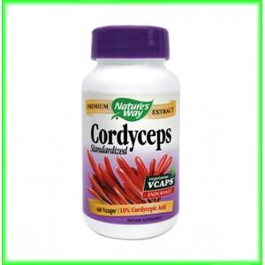 Cordyceps SE 60 capsule - Nature's Way