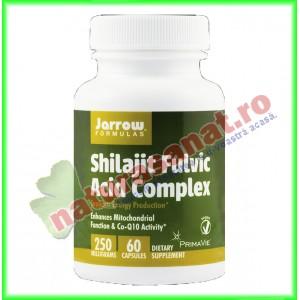Shilajit Fulvic Acid Complex 250 mg 60 capsule vegetale - Jarrow Formulas - Secom