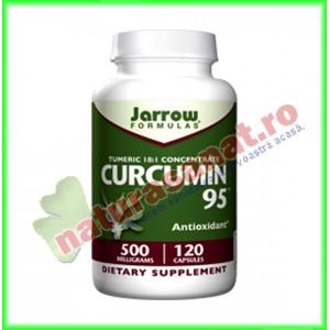 Curcumin 95 60 capsule - Jarrow Formulas