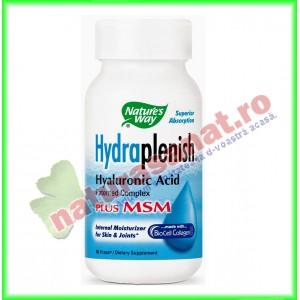 Hydraplenish Plus MSM 60 capsule - Nature's Way - Secom