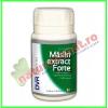 Maslin Extract Forte 60 capsule - DVR Pharm