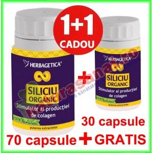 Siliciu organic PROMOTIE 70+30 capsule GRATIS - Herbagetica