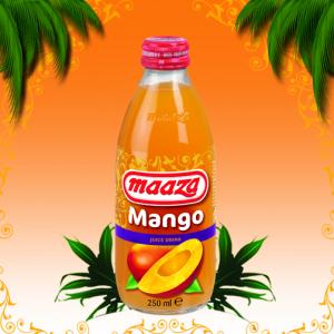 Suc din fructe tropicale MANGO 250 ml