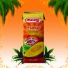 Suc din fructe tropicale mango 200 ml
