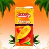 Suc MANGO 1 litru