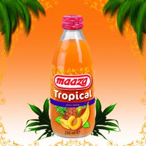 Suc din fructe tropicale TROPICAL 250 ml
