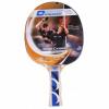 Paleta ping pong donic young champ 300