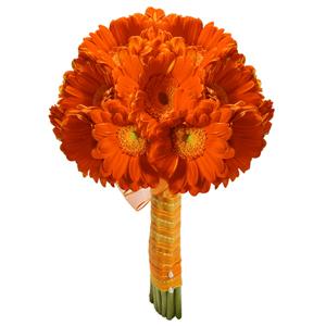 Buchet din gerbera