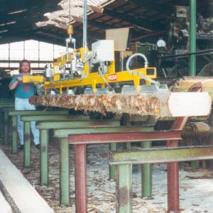 Sistem de ridicare cu ventuze pentru scanduri si lemn