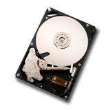 HDD Intern Hitachi GST Deskstar 7K1000.B 1TB 16MB SATA II-300