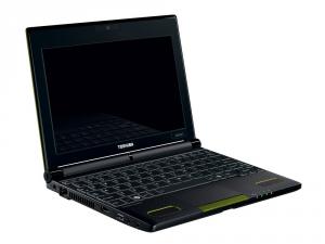 Netbook Toshiba NB520-10C Intel Atom N550 1GB DDR3 250GB HDD WIN7 Green