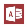 Microsoft Access 2013 32-bit/x64 Romanian Medialess