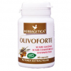 Olivo forte 40cps herbagetica