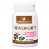 OLIVO FORTE 40cps HERBAGETICA