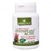 Detoxiplant activ 40cps herbagetica