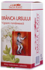 Branca ursului 60cps