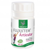 Fluxxtem - articular 80cps herbagetica