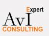 Expert Avi Consulting