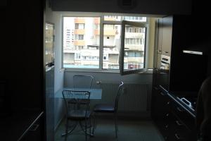 Inchiriere Apartamente Mosilor Bucuresti GLX210711