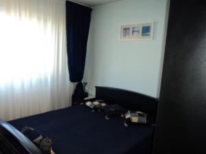 Inchiriere Apartamente Republicii Ploiesti GLX56108