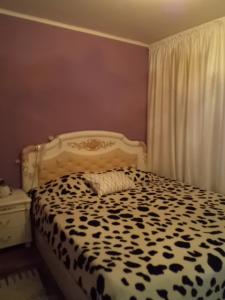 Inchiriere Apartamente Unirii Bucuresti GLX720652