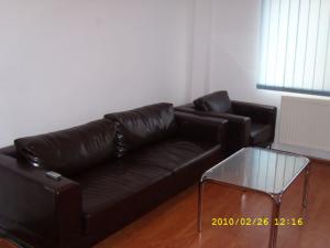 Inchiriere Apartamente Regina Elisabeta Bucuresti GLX33077