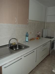 Inchiriere Apartamente Dorobanti Bucuresti GLX371045