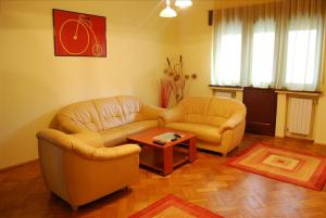 Inchiriere Apartamente Cotroceni Bucuresti GLX231061