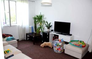 Vanzare Apartamente Drumul Taberei Bucuresti GLX770649