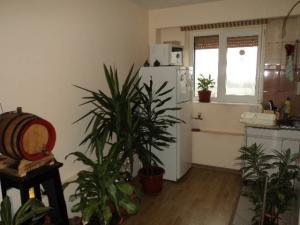 Vanzare Apartamente Malu Rosu Ploiesti GLX52121